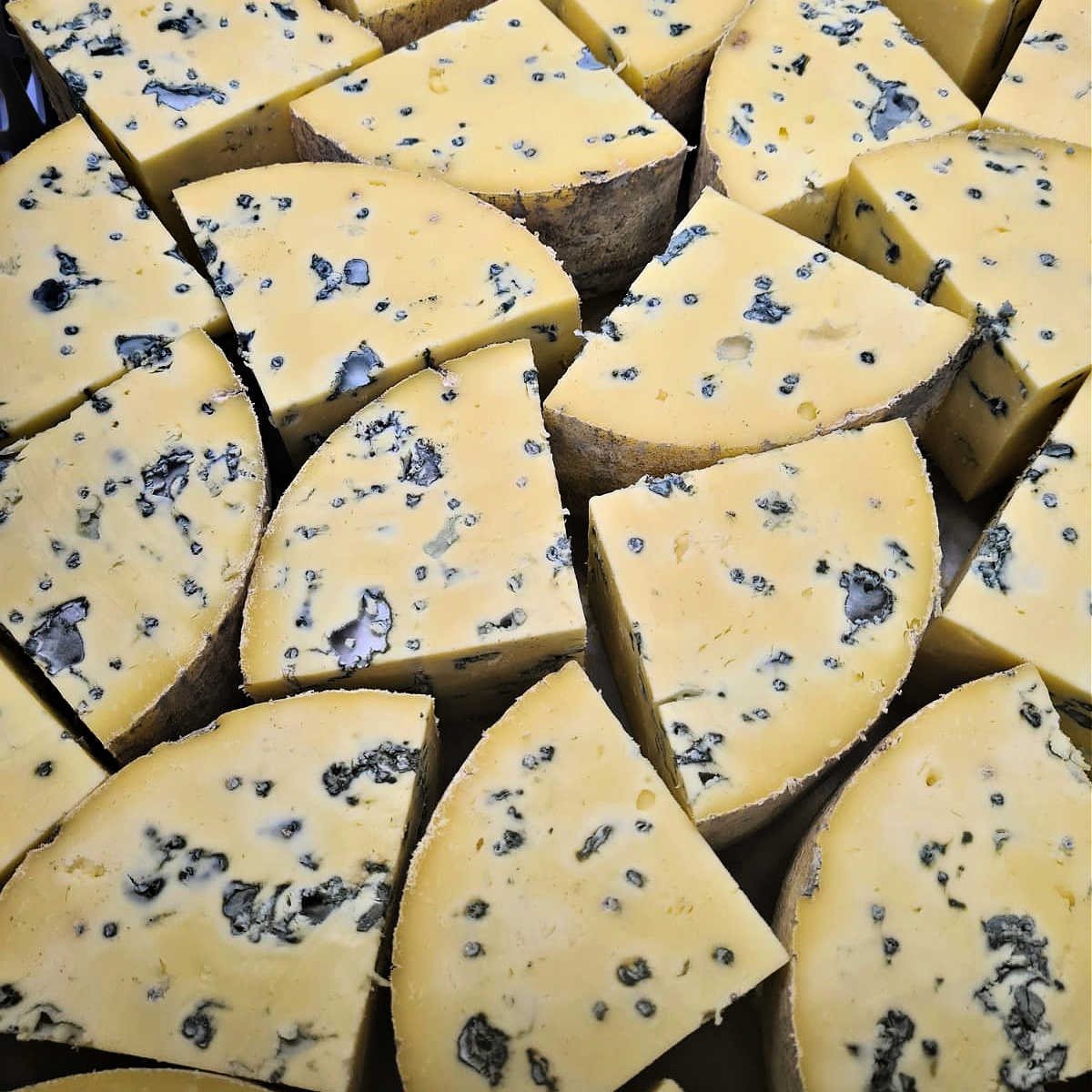 Cornish Blue: A Traditional British Blue Cheese Reimagined