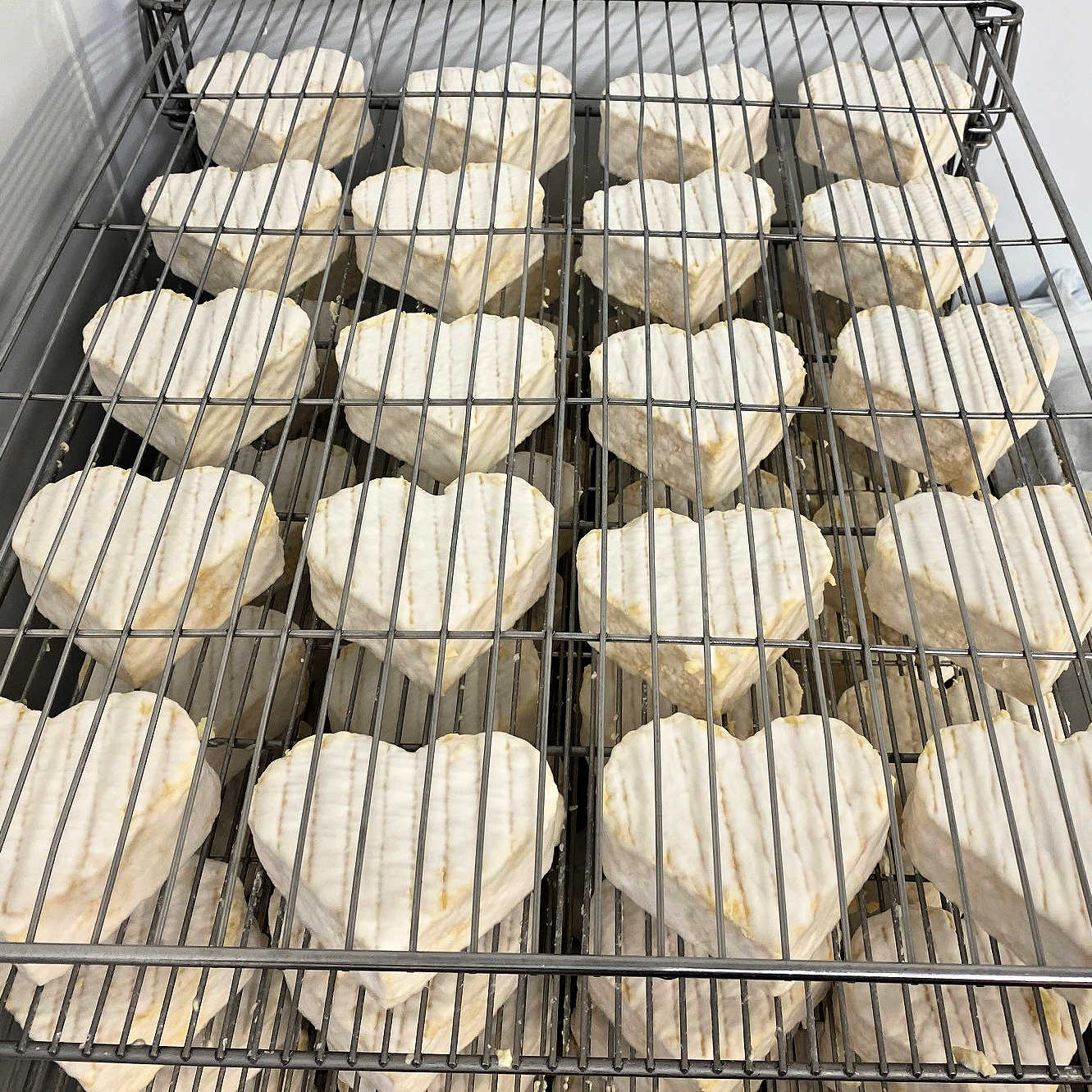 Maturing for Valentine's Day - Heart Shaped Cheese