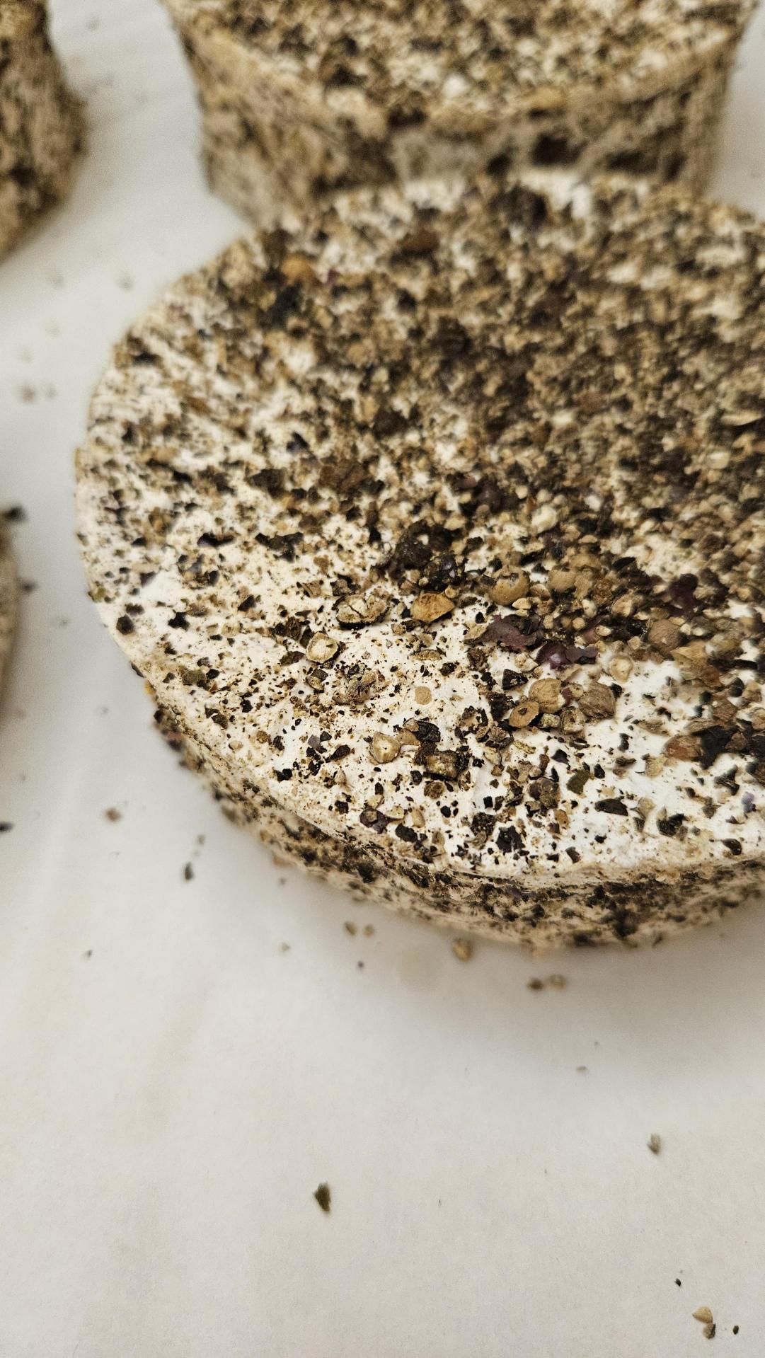 cheese encrusted with peppercorns