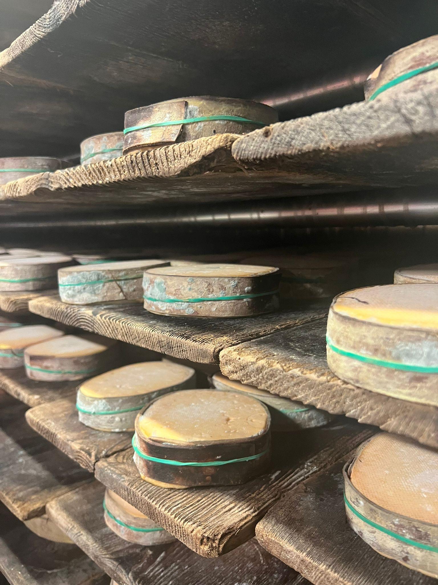 Visiting the Hauser Family: Masters of Swiss Vacherin Mont d’Or