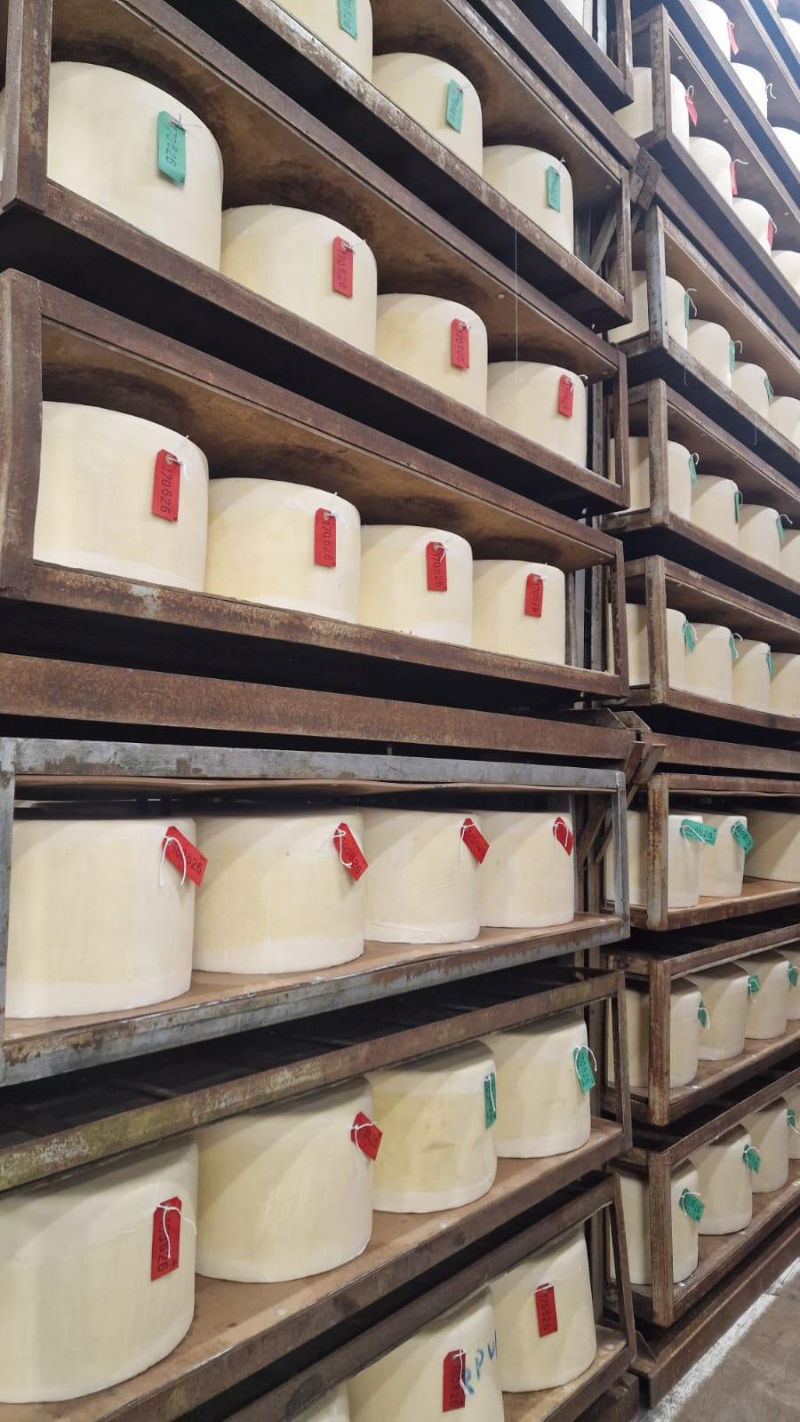 A Weekend at Quicke's Farm: Learning from One of Britain's Great Cheddar Makers
