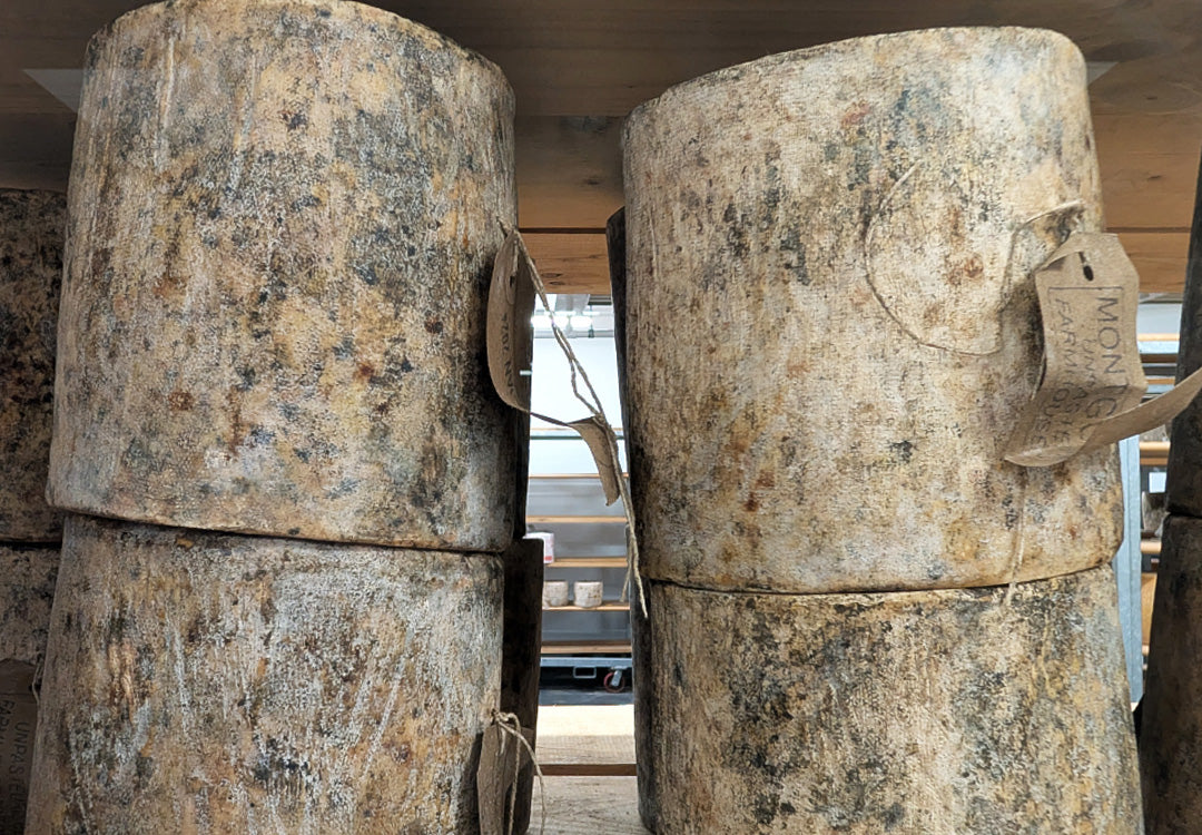 Selecting Cheddar for Christmas