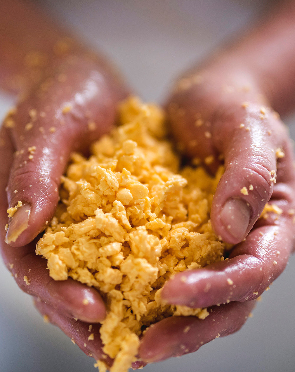 close up of cheese curds in cheshire appleby manufacturing process 