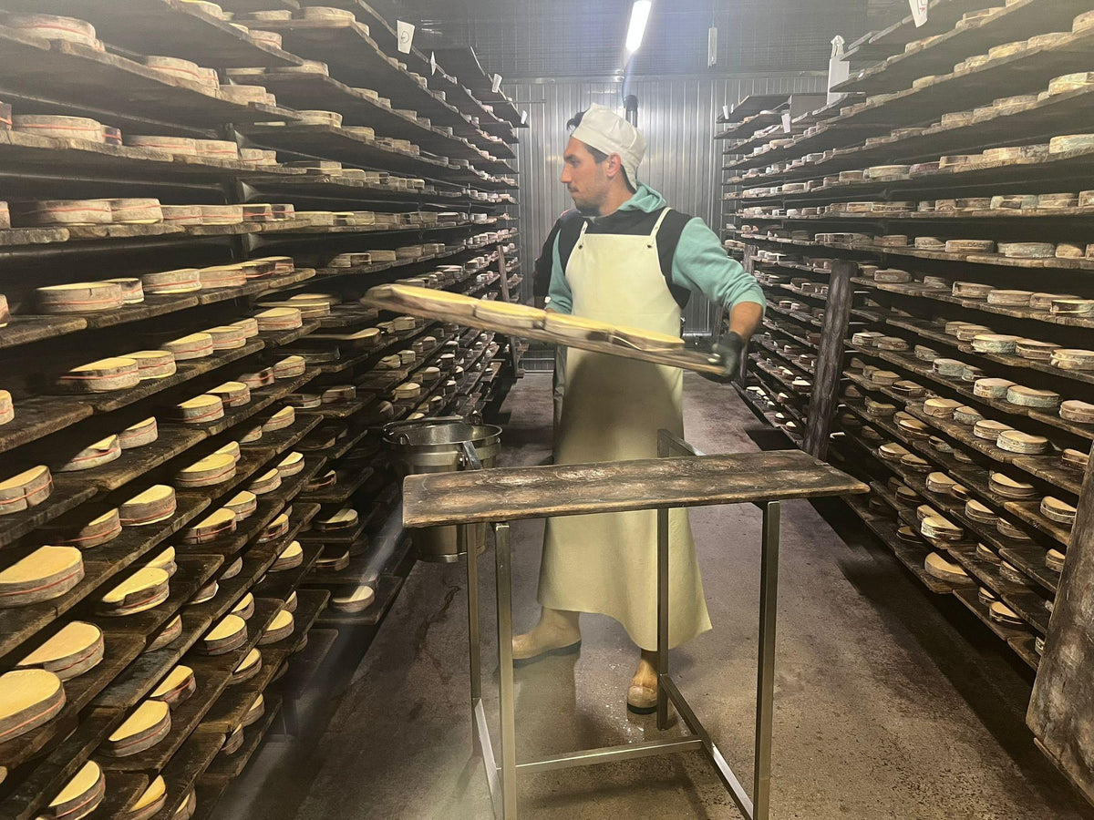 Swiss Vacherin Mont D'Or