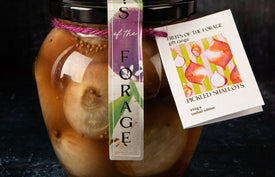 Pickled Shallots Orcio