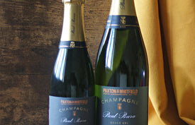 Paxton's Champagne