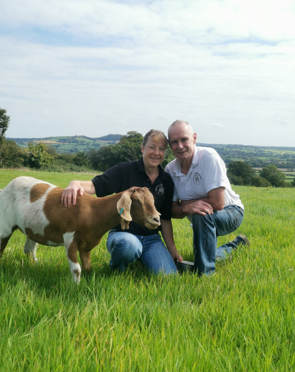 Hard Goat's Milk Cheese Pennard Ridge Makers