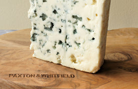 french salty blue cheese roquefort