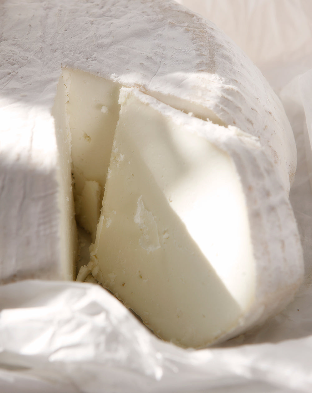 Ticklemore Goat's Cheese from the Sharpham Estate 