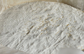 Paxton & Whitfield Brie de Meaux