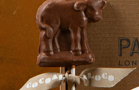 Chocolate Cow Lolly