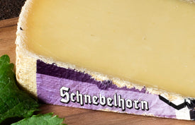 Swiss hard cheese Schnebelhorn exclusively sold by Paxton & Whitfield